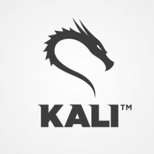 Kali Linux 2020.4 - DVD